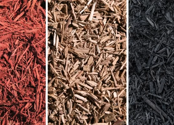 choosing mulch color and type
