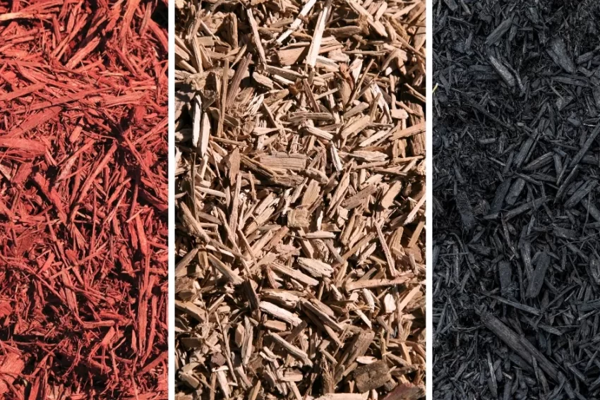 choosing mulch color and type