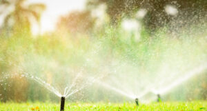Drain/Irrigation Systems