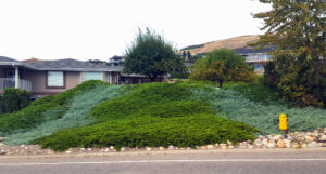 Rough Terrain/Slopes