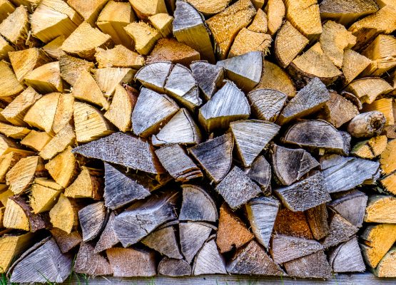 Seasoned vs. Green Firewood