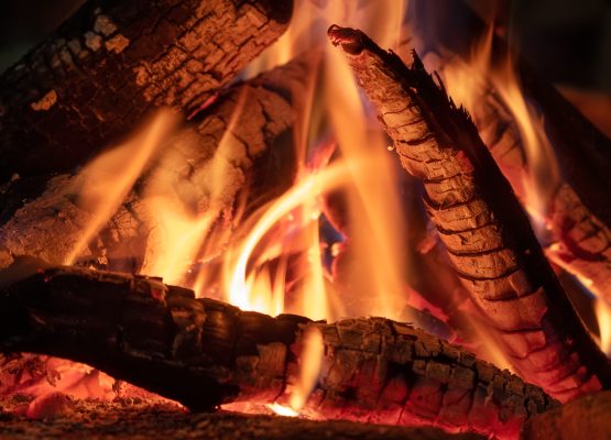 mixed hardwood blend of ash, oak, maple, and poplar makes the best burn